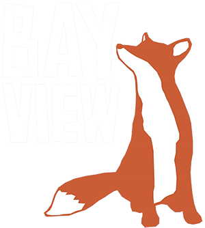 Bay View fox illustration