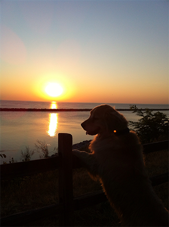 Comet at sunrise